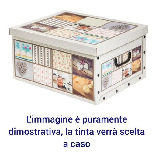 Scatola baule contenitore - contenitore, box